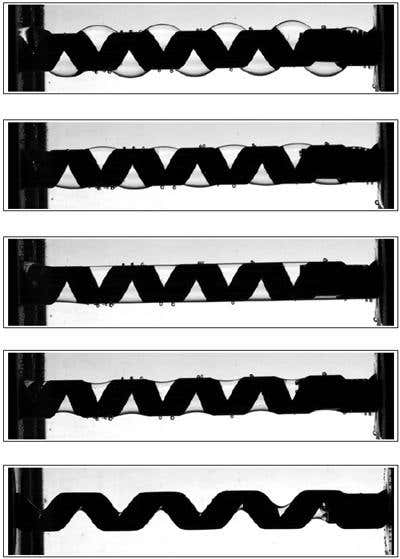New Scientist. Science news and long reads from expert journalists, covering developments in science, technology, health and the environment on the website and the magazine.