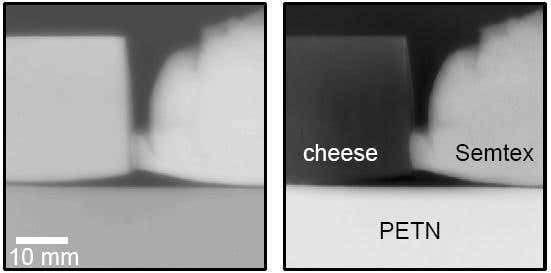 'Dark field' X-rays reveal bodies in new detail