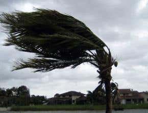 Hurricane study whips up a storm