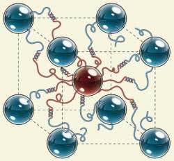 DNA construction kit self-assembles 3D 'crystals'