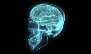 Wireheads: Healing the brain with electricity