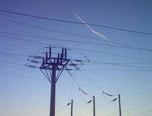 New Scientist. Science news and long reads from expert journalists, covering developments in science, technology, health and the environment on the website and the magazine.