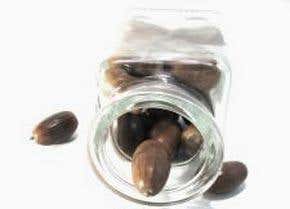 The great seed blitzkrieg