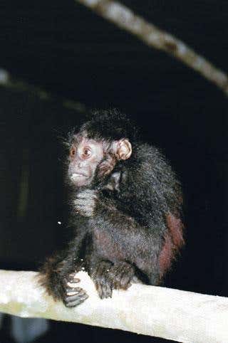 New Scientist. Science news and long reads from expert journalists, covering developments in science, technology, health and the environment on the website and the magazine.