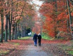 New Scientist. Science news and long reads from expert journalists, covering developments in science, technology, health and the environment on the website and the magazine.