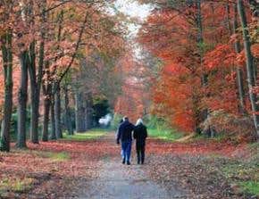 Inbred humans live to a ripe old age