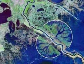 New Mississippi delta would limit hurricane damage