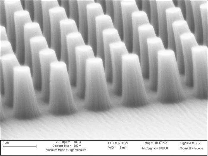 'Gecko foot' band-aids could promote healing