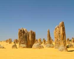 New Scientist. Science news and long reads from expert journalists, covering developments in science, technology, health and the environment on the website and the magazine.