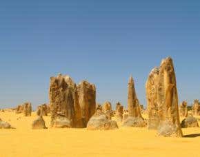 Australia urged to take lead on climate change