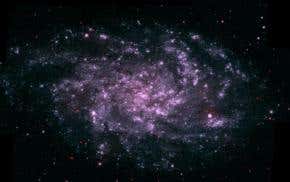 Galaxy portrait reveals a blaze of newborn stars