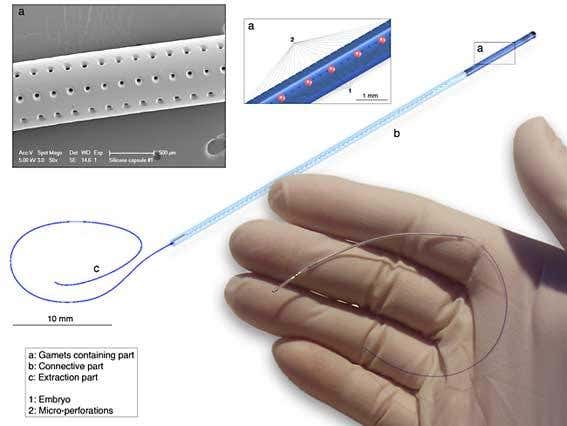 'Silicon womb' to begin fertility trials