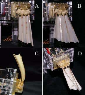 Flexible robotic fin does away with drag