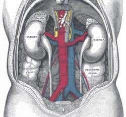New Scientist. Science news and long reads from expert journalists, covering developments in science, technology, health and the environment on the website and the magazine.