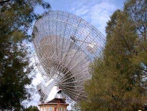 Is cosmic string the radio burst culprit?