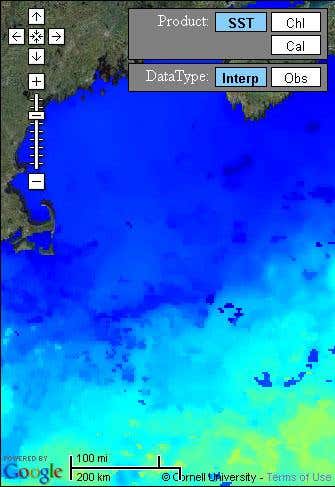 Thar she blows: Ships to get whale warnings