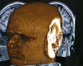 Imagination is the key to vocal mimicry