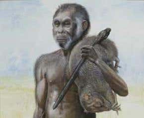 New bones suggest 'hobbits' were modern pygmies