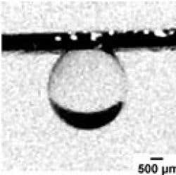 Even when the material is inverted, the droplets stay firmly in place