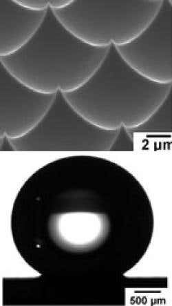 Trapped spheres of water make perfect protein prison