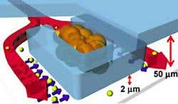 'Tumour factory' to accelerate cancer drug development