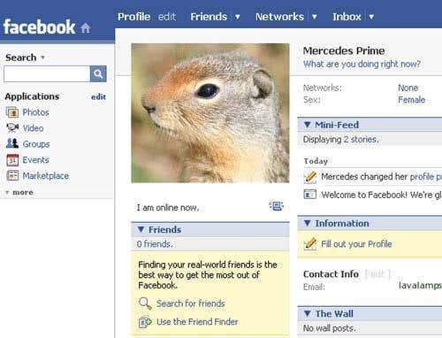 'Squirrel Facebook' shows three degrees of separation