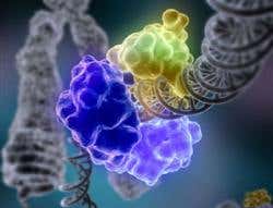 New Scientist. Science news and long reads from expert journalists, covering developments in science, technology, health and the environment on the website and the magazine.