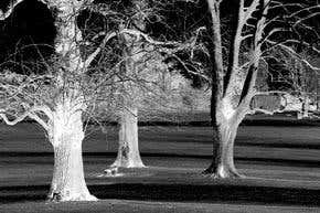 Is dark matter mystery about to be solved?