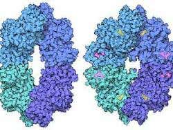 New Scientist. Science news and long reads from expert journalists, covering developments in science, technology, health and the environment on the website and the magazine.