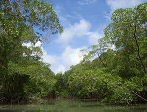 New Scientist. Science news and long reads from expert journalists, covering developments in science, technology, health and the environment on the website and the magazine.