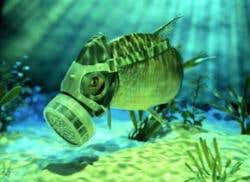 New Scientist. Science news and long reads from expert journalists, covering developments in science, technology, health and the environment on the website and the magazine.