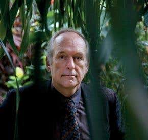 Interview: Can't see the desert for the trees