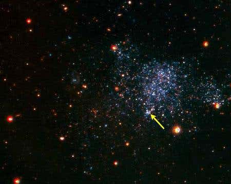 New Scientist. Science news and long reads from expert journalists, covering developments in science, technology, health and the environment on the website and the magazine.