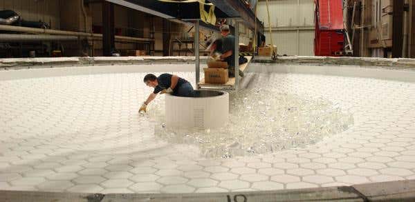 New Scientist. Science news and long reads from expert journalists, covering developments in science, technology, health and the environment on the website and the magazine.