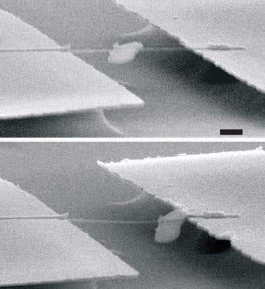 New Scientist. Science news and long reads from expert journalists, covering developments in science, technology, health and the environment on the website and the magazine.