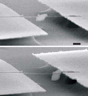 Nanoscale freighter hauls its first load