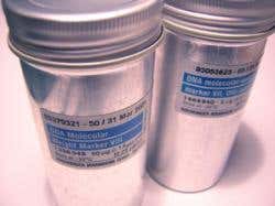 New Scientist. Science news and long reads from expert journalists, covering developments in science, technology, health and the environment on the website and the magazine.