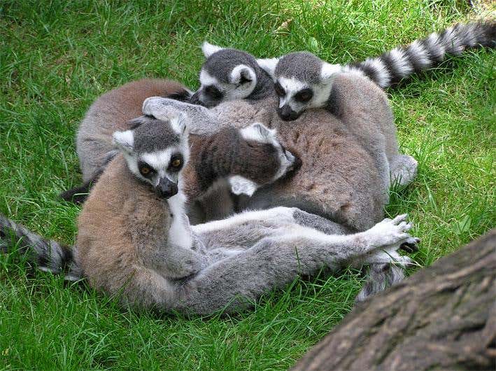 New Scientist. Science news and long reads from expert journalists, covering developments in science, technology, health and the environment on the website and the magazine.