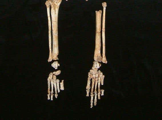 New Scientist. Science news and long reads from expert journalists, covering developments in science, technology, health and the environment on the website and the magazine.