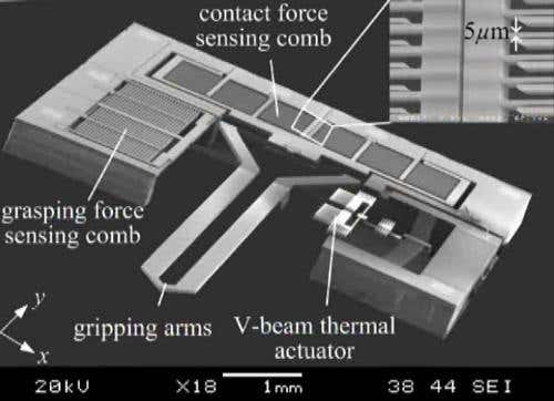 New Scientist. Science news and long reads from expert journalists, covering developments in science, technology, health and the environment on the website and the magazine.