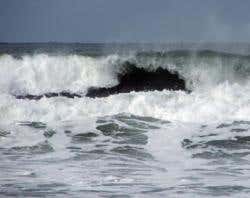 New Scientist. Science news and long reads from expert journalists, covering developments in science, technology, health and the environment on the website and the magazine.