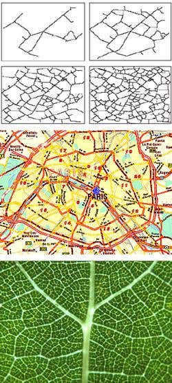 New Scientist. Science news and long reads from expert journalists, covering developments in science, technology, health and the environment on the website and the magazine.