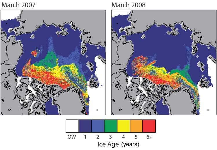 Most 2008 Arctic ice is young and therefore thin; white indicates open water