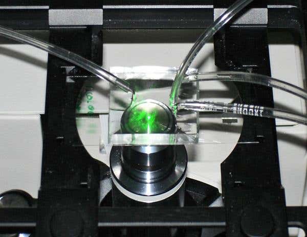 Glass chip spins silk just like a spider