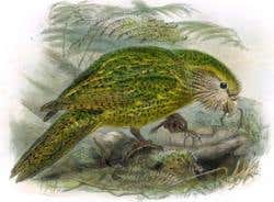 New Scientist. Science news and long reads from expert journalists, covering developments in science, technology, health and the environment on the website and the magazine.