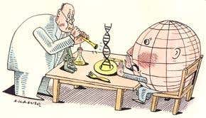 Comment: Bridging gulfs to feed the world