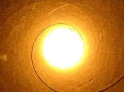 New Scientist. Science news and long reads from expert journalists, covering developments in science, technology, health and the environment on the website and the magazine.