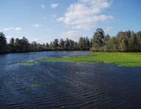 Making the right choices in climate change