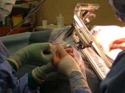 New Scientist. Science news and long reads from expert journalists, covering developments in science, technology, health and the environment on the website and the magazine.