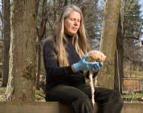 Interview: The stroke survivor who trained her own brain